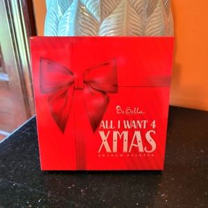 Bebella eyeshadow palette. "All I want 4 Christmas".